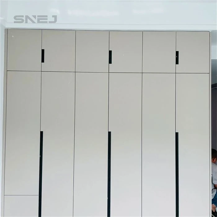 Full-height fitted wardrobe with aligned doors and slim handles - Closet With Cabinet Doors by SNEJ, image 2