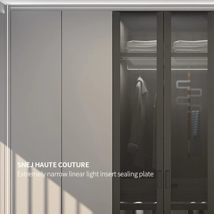 Close view of wardrobe panels and glass-front clothing storage - Bedroom With Open Wardrboe by SNEJ, image 2