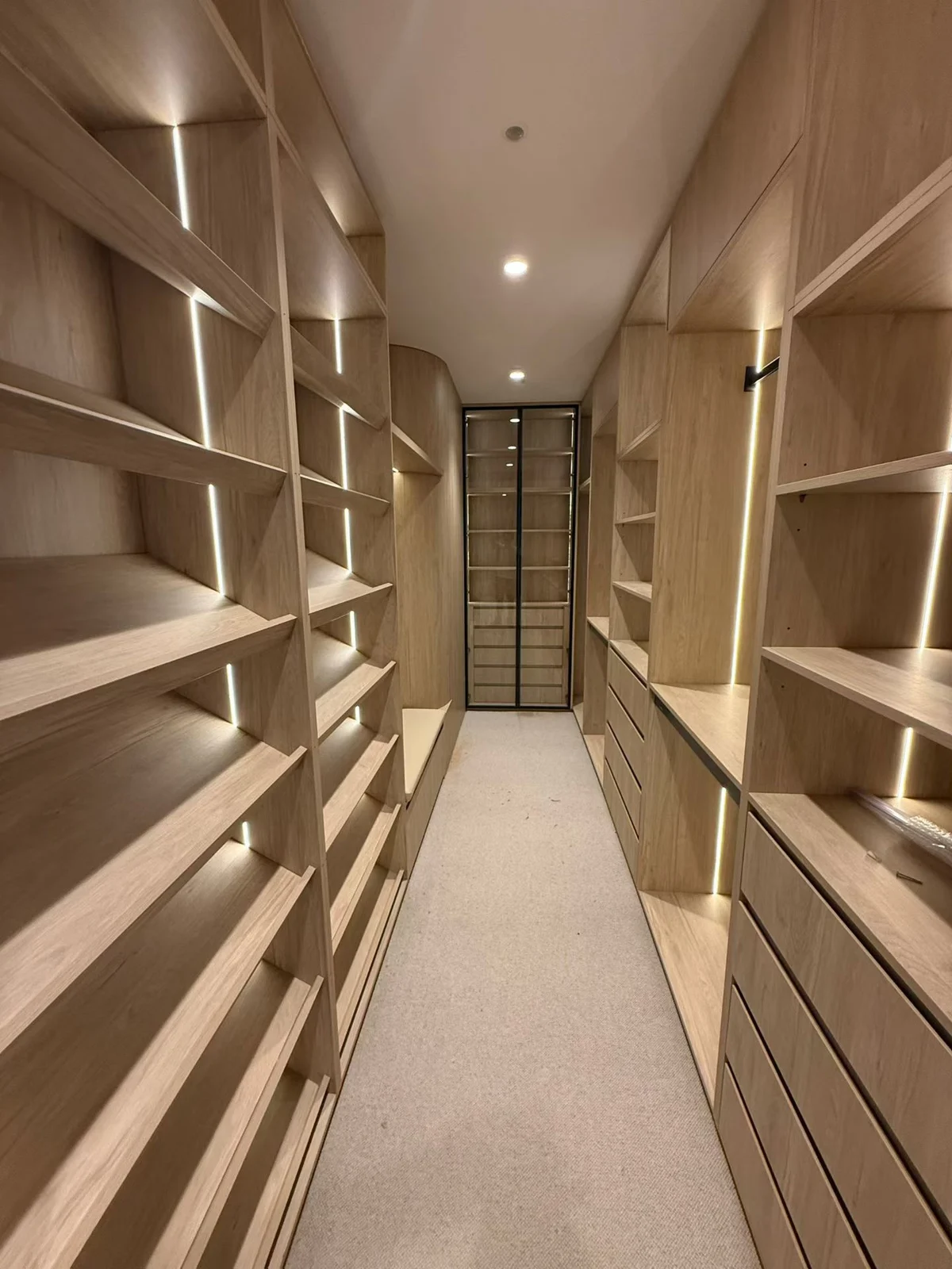 Walk-in storage with open shelving and hanging space