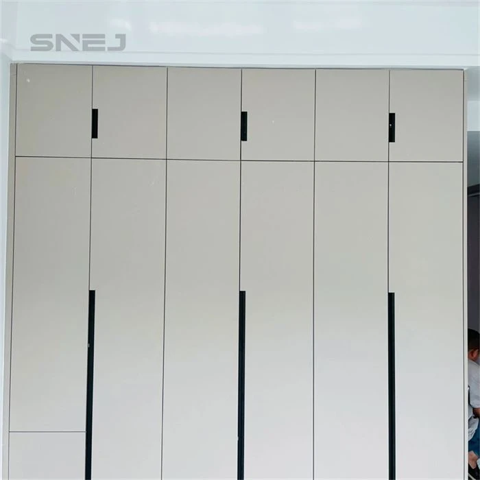 Modern Minimalist White Closet With Cabinet Doors