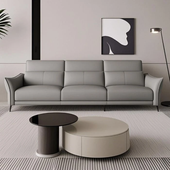 Grey Functional Sofa