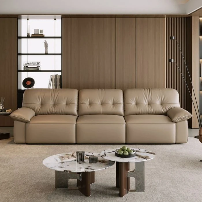 Leather Functional Sofa Set