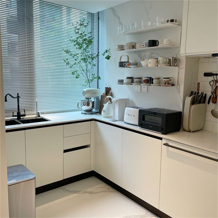 Modern Kitchen Closet